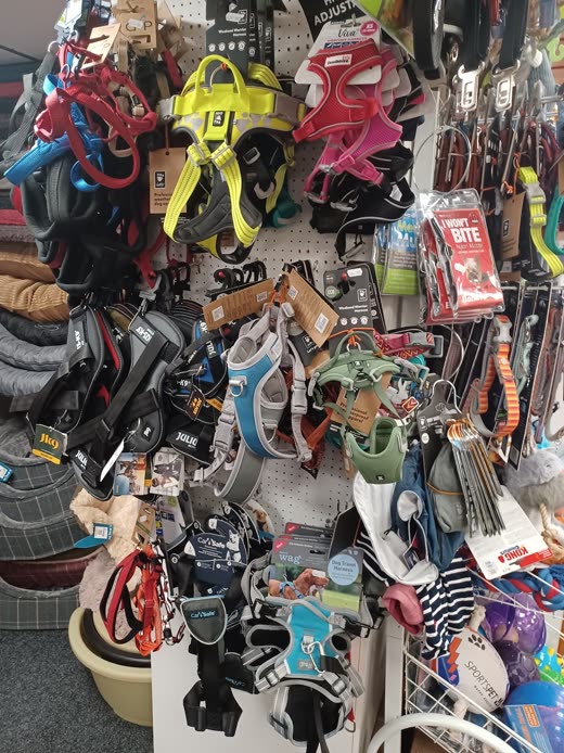 Dog harnesses, leads and collars hung on a pegboard wall